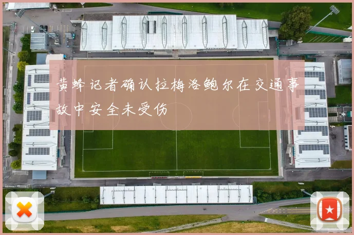 黄蜂记者确认拉梅洛鲍尔在交通事故中安全未受伤