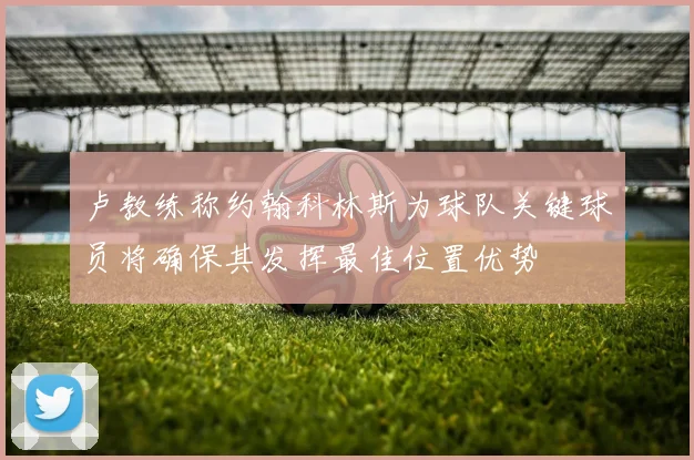 卢教练称约翰科林斯为球队关键球员将确保其发挥最佳位置优势